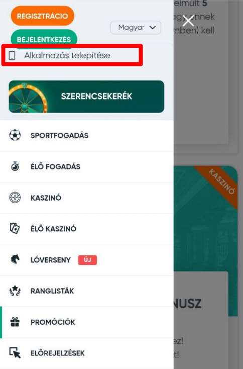 mobil alkalmazás